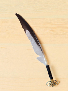 Indigenous Smudge Set: Sage & Unique Beaded Fan
