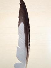 Indigenous Smudge Set: Sage & Unique Beaded Fan